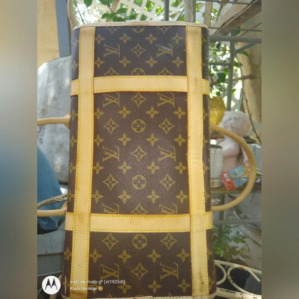 Louis Vuitton dog carrier travel Lv vacation luxury designer